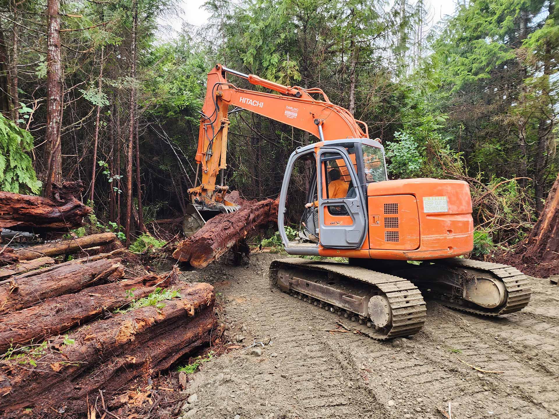 Clearing felled trees out of a forest with an excavator