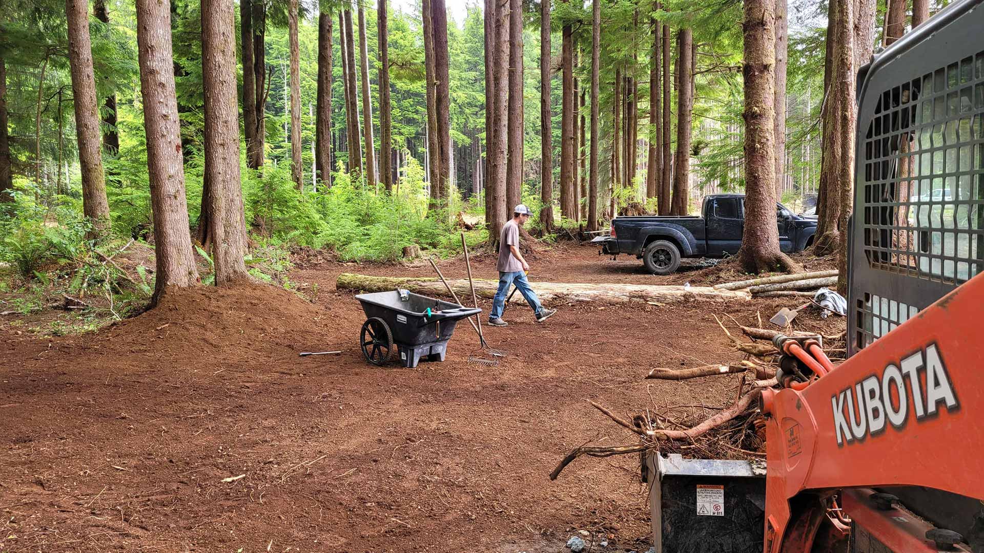 Workers from Salish Excavation and Trucking LLC clearing trees out of a forest